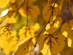 -长春公园(普阳街道)