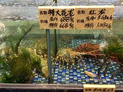 -大门水乡·顺德菜