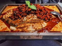 重庆豆花烤鱼-探鱼·鲜青椒爽麻烤鱼(朝阳悠唐广场店)
