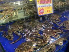 水产区-东江海鲜酒家(艺都分店)