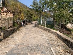 -大岭沟猕猴桃谷风景区