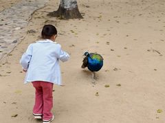 -秦皇岛野生动物园
