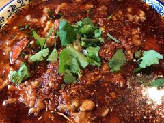 -院8里·少城记忆老川菜(宽窄巷子店)