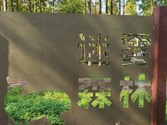 -黄海国家森林公园