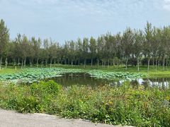 -东郊湿地公园
