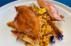 Egg Yolk Spider Crab