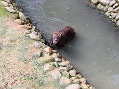 -呀路古热带植物园