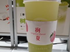 -树夏(锦里店)