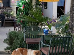 -翠田Green Field Kitchen
