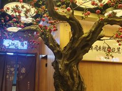 -同乐馆(阳光店)
