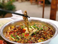 -葡萄园鱼庄(新津店)