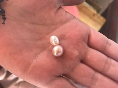 -北海金海湾红树林生态旅游区