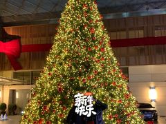 -丽思卡尔顿酒店泳池(金融街店)