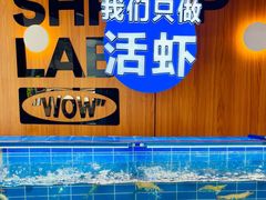 -0048鲜活香辣虾·火锅(铜陵路店)