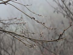 -九华山聚龙大酒店