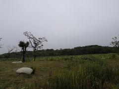 -盘龙城国家考古遗址公园