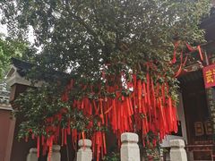 -长春观