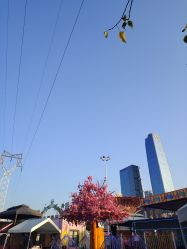 点击看大图 -哆哆咪娅星球乐园(东方国际商业广场店)