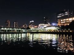 -台场海滨公园船码头