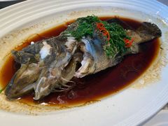 -上海宝华喜来登酒店·采悦轩中餐厅