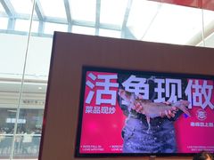 -老板恋上鱼(恒隆广场店)