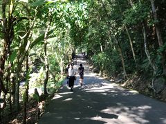 -桂山风景旅游区