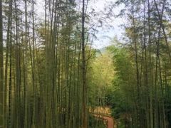-赤水丹霞旅游区·佛光岩