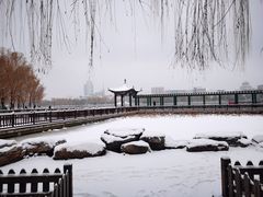 -莲花池公园