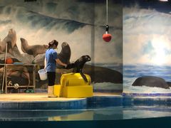 -梦幻海洋王国(吾悦广场张家港店)