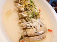 -铂米星座(瑞安店)