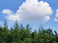 -郑州植物园