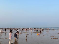 -日照海滨国家森林公园