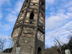 -上海佘山国家森林公园天马山园