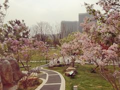 -西海子公园