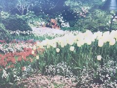 -长春公园(普阳街道)