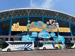 -泉城欧乐堡海洋极地世界