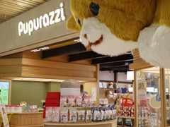 -帕帕拉兹宠物(亚洲旗舰店)