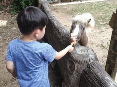 -清迈夜间动物园