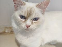 -怪兽屋·羊驼·猫咖·狗咖(俊华广场店)