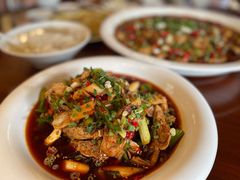 -龙翔山庄雷鸡肉(青城后山泰安古镇店)