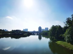 -眉山湿地公园(东坡区)