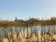 -华夏文旅西安度假区