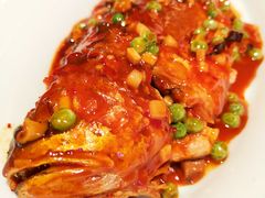 干烧有机大黄鱼-106餐厅(山水文园店)
