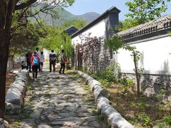 -阳台山自然风景区