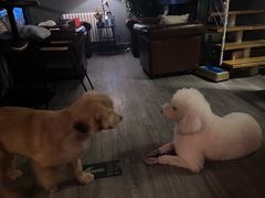 -后院儿·精酿·塔罗Happy Bar