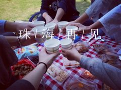 -野狸岛