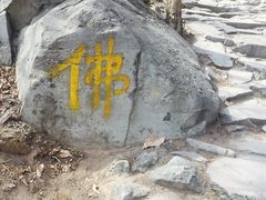 景点-阳台山自然风景区