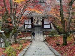 -常寂光寺