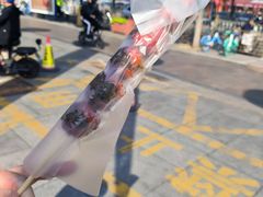-糖葫芦王保定名吃(古莲花池店)