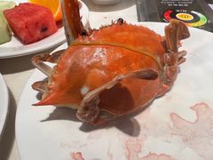 -聚盛源蒸汽海鲜火锅烤肉自助(巨川金海岸购物广场店)